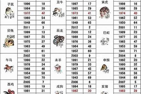 2003年出生属什么|2003年属羊是什么命，03年出生五行属什么